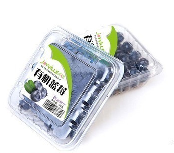 Máquina de etiquetagem superior, máquina de codificação opcional de aplicador de etiqueta adesiva